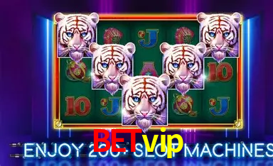 betvip Pagamento Seguro SSL